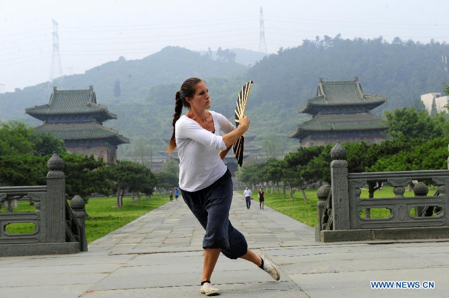 Foreign learners love Chinese martial arts