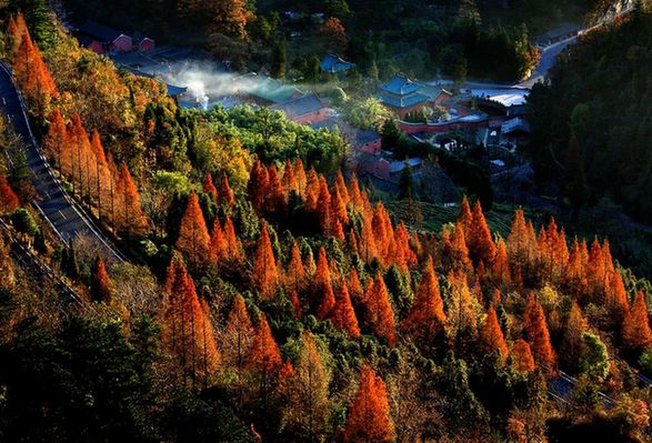 Tai Chi Lake Cup photography exhibition kicks off