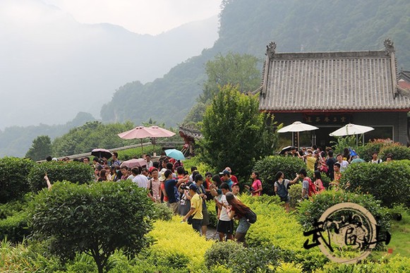 High proportion of Wudang visitors are students