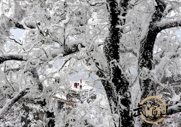 Rime ice creates fairytale landscape at Wudang Mountains