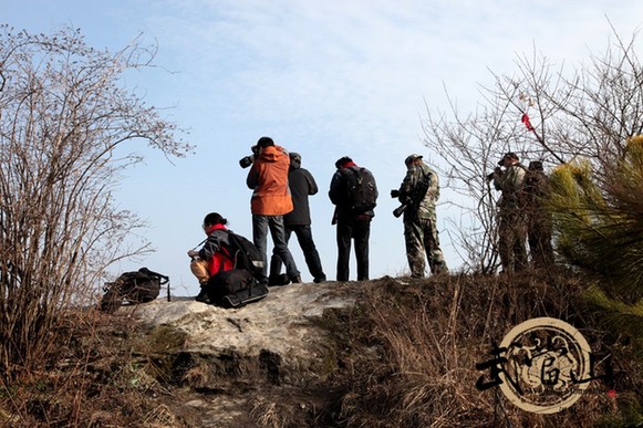 Fujian photographers bring their eyes to Wudang