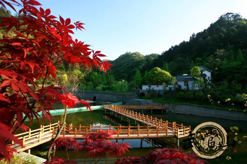 Wudang welcomes autumn red leaves