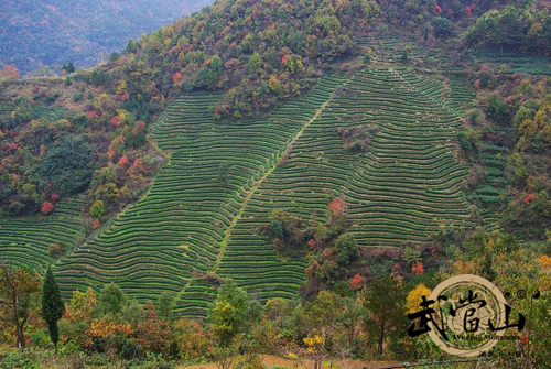 Wudang Mountains named as 2014 Hubei Provincial Ecological Town