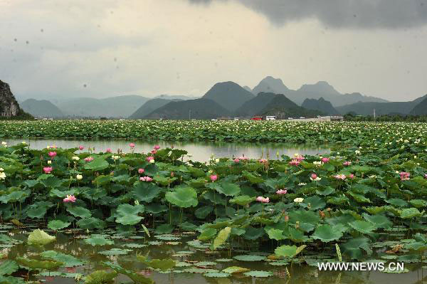 Summer trip to Yunnan