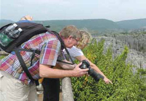 Blossoming beauty in the Naigu Stone Forest