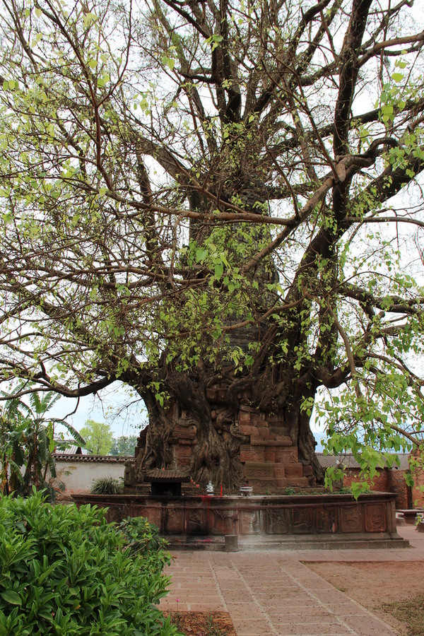 Mengwo Buddha Temple