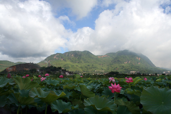 Pu’er Ancient Tea Horse Road Tourist Area