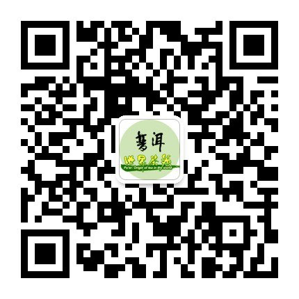 Pu'er's official Wechat account lauches