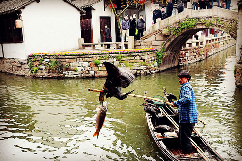 Resplendent autumn of Zhouzhuang