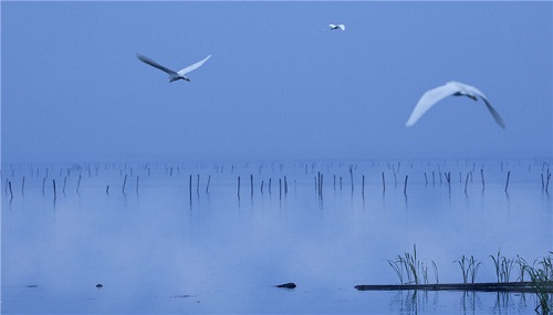 Zhouzhuang: a town of tranquility