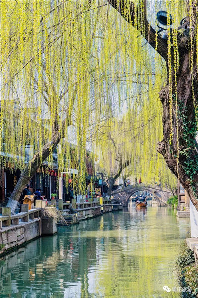 Have a date with spring in Zhouzhuang