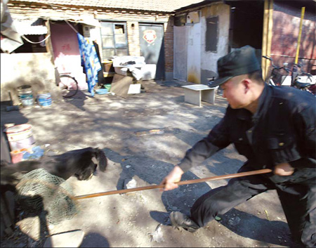 Demolitions unleash fears of abandoned dogs