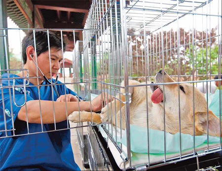 Canine neutering project is kindest cut for pet owners