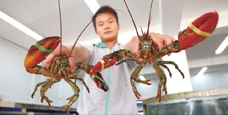 Canadian lobsters sink their claws into Beijing