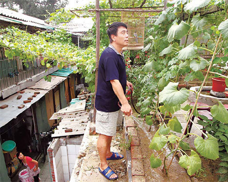 TLC and TCM help 'hanging garden' grow