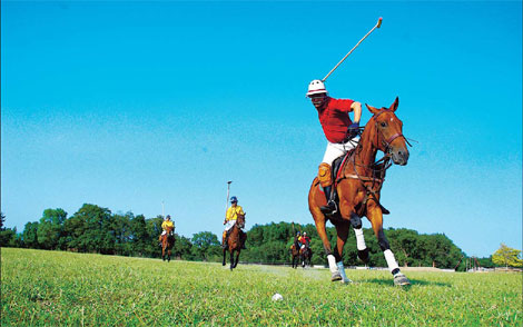 Fans gallop to polo clubs