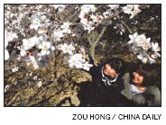 Mountains and parks prepare for Qingming