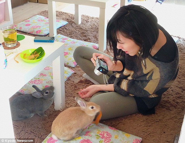 Bunny café in Tokyo<BR>东京推萌兔咖啡馆(图)