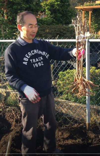 'Peony Prince' brings love of flower to Seattle