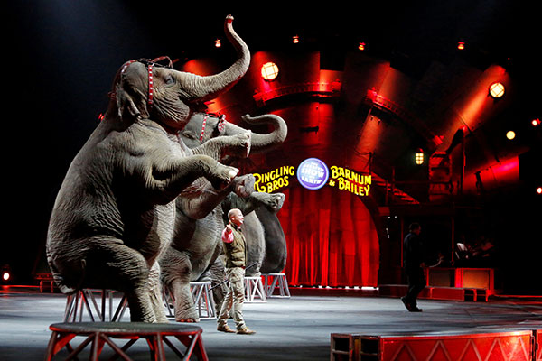 Ringling Bros to fold circus tent after 150 years