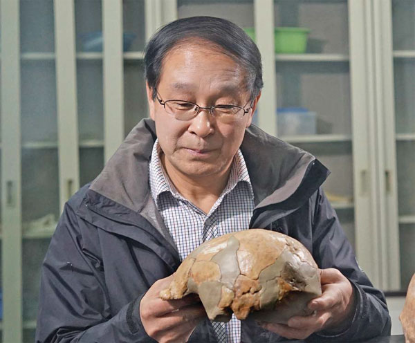 Skulls offer hint of human evolution