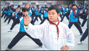 Tai chi pitched for UNESCO list