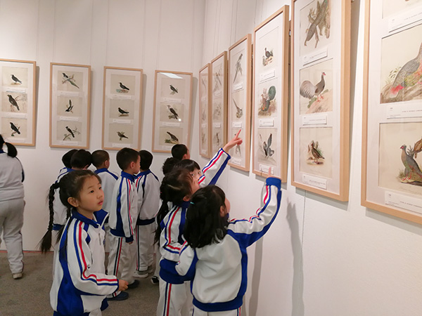 Art show on birds in 19th-century China