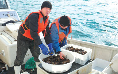 Robots to go fishing in Dalian