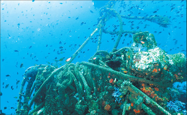 Filming deep sea helps conquer aquaphobia