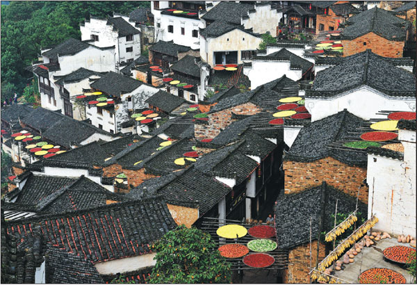 Wuyuan puts old houses up for 'adoption'
