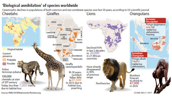 'Sixth extinction' of world's wildlife faster than feared