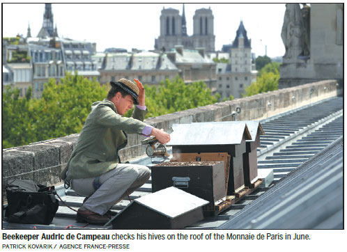 Rooftop hives keeping Paris honeybees buzzing