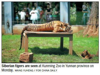 One tiger kills another at Kunming Zoo