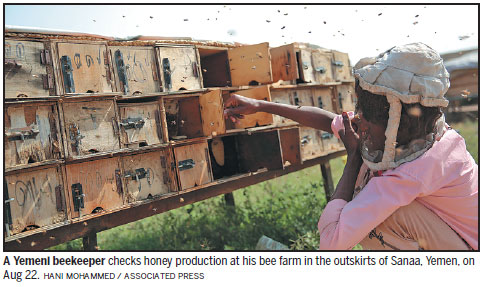 Yemen's treasured honey industry stung by civil war