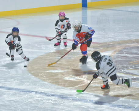 Plucky puck rookies find their feet on the ice