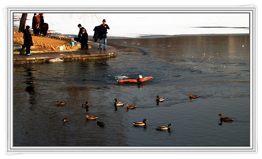 The winter at Yuyuantan Park