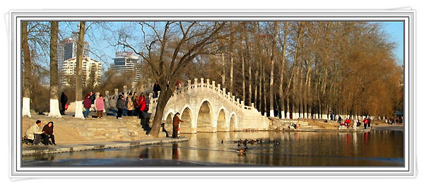 The winter at Yuyuantan Park