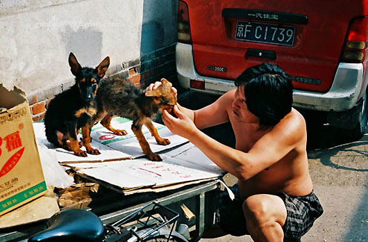 Life at Beijing's Hutong