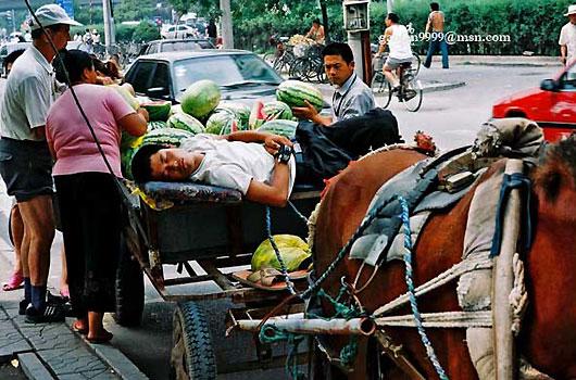 Life at Beijing's Hutong