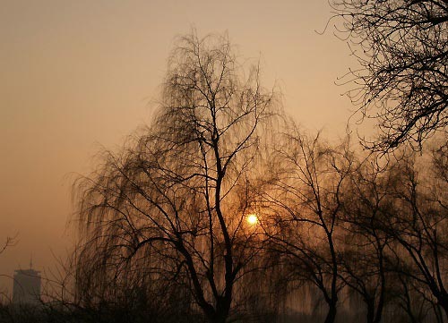 The Summer Palace