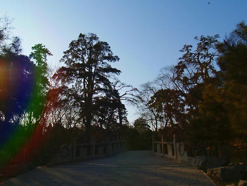 The Summer Palace