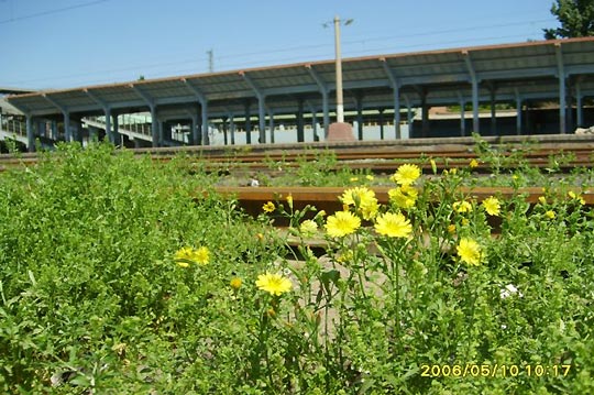 The South Railway Station of Beijing