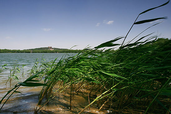 The Summer Palace (Yi He Yuan)