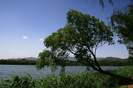 The Summer Palace (Yi He Yuan)