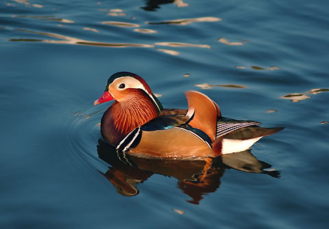 Bei Hai Gong Yuan (The North Sea Park)