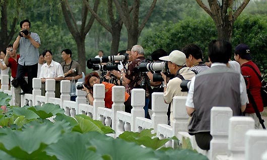 In the Lotus Pond Park (Lian Hua Chi)