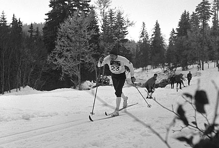 Ole Ellefsæter