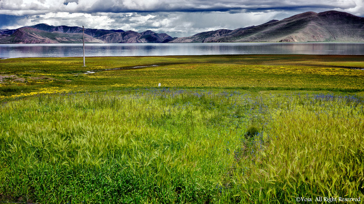 Highs and lows of driving to Tibet