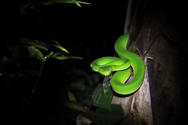 Nature photographer captures Ningbo nightlife