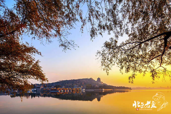 Four seasons in Beijing's parks